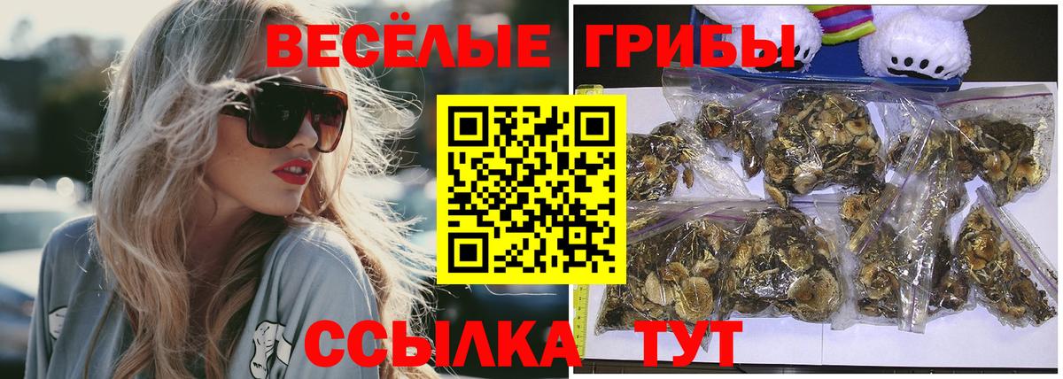 Елабуга  Псилоцибиновые грибы Psilocybine cubensis  Вход с VPN 
